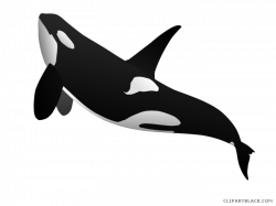 Killer Whale Animal free black white clipart images clipartblack ...
