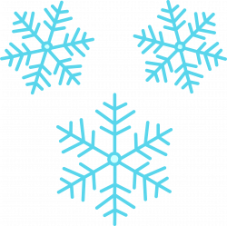 Snowflakes Group transparent PNG - StickPNG