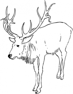 Free Reindeer Clipart - Clip Art Image 2 of 2