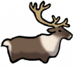 Caribou Clipart Arctic Reindeer - Png Download - Full Size ...