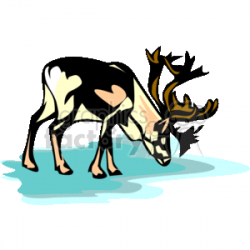 Arctic reindeer standing on the frozen earth clipart. Royalty-free clipart  # 131188