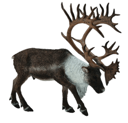 Reindeer (Caribou) Toy Figure transparent PNG - StickPNG