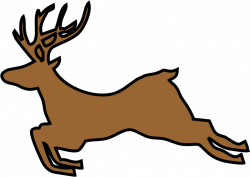 Reindeer Jumping (2 front legs)