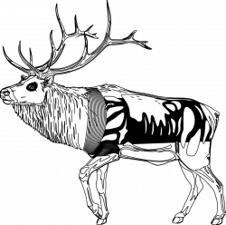 Reindeer Clipart Black And White | Clipart Panda - Free Clipart Images