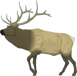 Large Moose Clip Art at Clker.com - vector clip art online, royalty ...