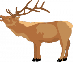 Reindeer side profile open mouth clipart