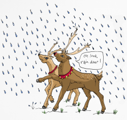 Look! There's some rain dear! | Raingear shop | Sketches ...