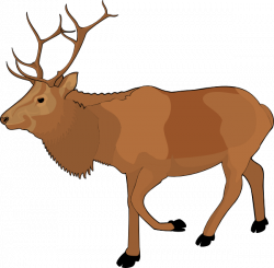 Reindeer Clip Art at Clker.com - vector clip art online, royalty ...