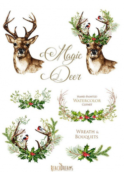 Christmas Deer. Watercolor deers, antlers, bullfinches, hand ...