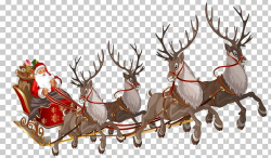 Santa Claus's Reindeer Santa Claus's Reindeer Rudolph PNG ...