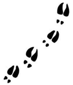 Free Reindeer Tracks Cliparts, Download Free Clip Art, Free ...