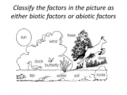Lesson on Biotic and Abiotic Factors - ppt download