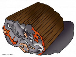 Earth Science / Geology Clip Art by Phillip Martin, Petrified Wood
