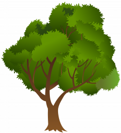 Tree PNG Clip Art Image | Gallery Yopriceville - High-Quality ...