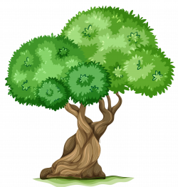 Tree PNG Clipart Picture | Gallery Yopriceville - High-Quality ...