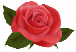 Red Rose PNG Image Clipart | deseos de migdalia | Pinterest | Rose
