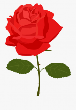 Dozen Red Roses Clipart 10 Re - Rose Clipart Transparent ...