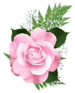 Pink Rose PNG Transparent Picture | transfer decoupage kwiaty ...