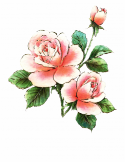 Roses Clipart Bed - Free Clip Art Pink Flowers, Transparent ...