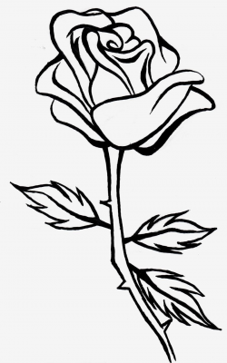 Rose clipart black and white clipart free download - ClipartPost