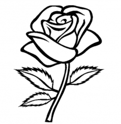 Rose Flower Png Black And White & Free Rose Flower Black And ...