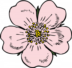 Wild Rose Bloom Clip Art at Clker.com - vector clip art online ...