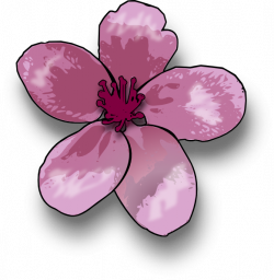 Blossom Clip Art at Clker.com - vector clip art online, royalty free ...