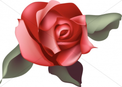 Single Red Rose Blossom | Church Rose Clipart