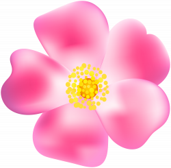 Pink Rose Blossom PNG Transparent Clip Art Image | Gallery ...
