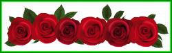 Best Rose Page Border Hanslodge Clip Art Collection Pic Of Flower ...