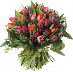 Transparent Tulips Bouquet PNG Clipart Picture | kedvenceim ...