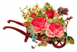 Antique Images: Free Digital Flower Rose Images of Rose Bouquet in ...