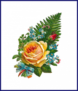 Best Antique Rose Clip Art Victorian U Vintages Scraps Die Picture ...