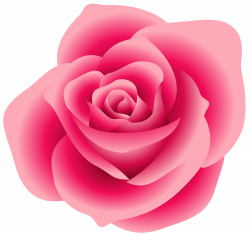 Large Pink Rose Clipart | Gallery Yopriceville - High-Quality ...