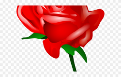 Red Rose Clipart Valentines Day Rose - Cartoon Red Rose Png ...