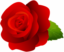 Rose Red Clip Art PNG Image | Gallery Yopriceville - High-Quality ...