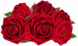Beautiful Dark Red Roses PNG Clipart Image | Gallery Yopriceville ...