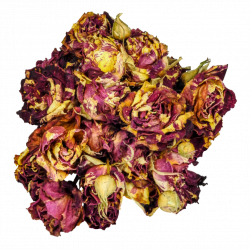 Bouquet of Dead Roses PNG by Bunny-with-Camera on DeviantArt
