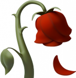 rose deadrose flower emoji iphone...
