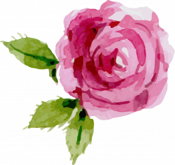 Transparent Png Images Roses. X Red Roses Transparent Png Clipart ...