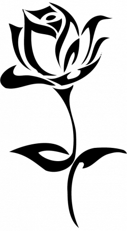Tattoo Black rose Drawing Clip art - hand drawn flowers 529*959 ...