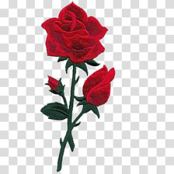 red rose embroidery transparent background PNG clipart ...