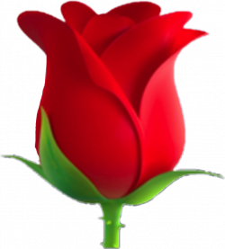 Rose flower redflower emoji emojis green lovely...