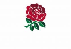 England Rugby Travel Primary Reverse Logo English Rose ...