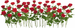 Rose Icon Clipart | Web Icons PNG