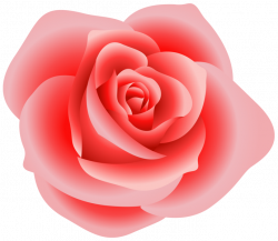 File:Large Red Rose Clipart-836262065.png - SLFFVII Wiki
