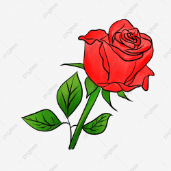 Rose Red Simple Flowers, Rose Clipart, Rose Red, Simple PNG ...