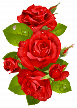 Red Rose Decoration Transparent PNG Clip Art Image | Gallery ...