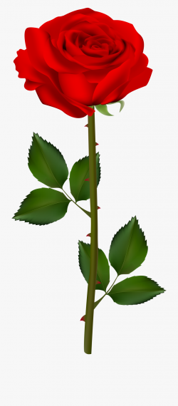 Rose Garden Clipart At Getdrawings - Red Rose With ...