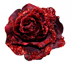 Glitter Rose Clip Art
